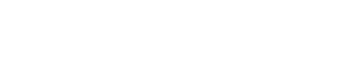 ping-check.io Logo